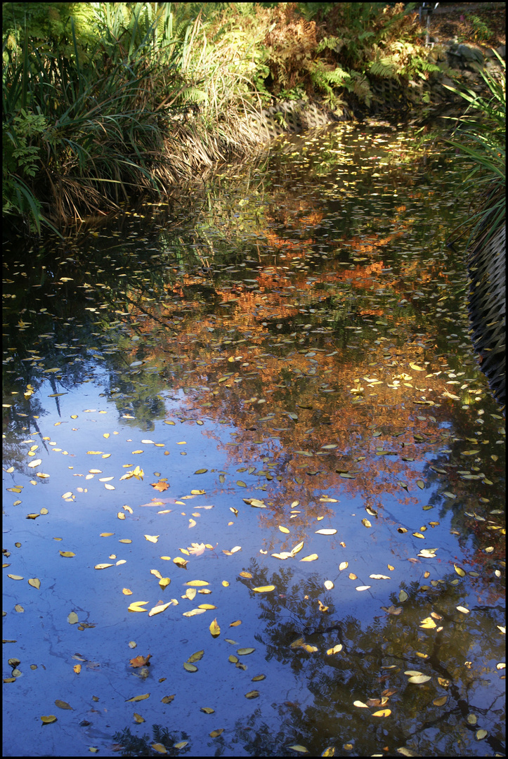 Herbstgewässer