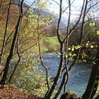 Herbstgewässer