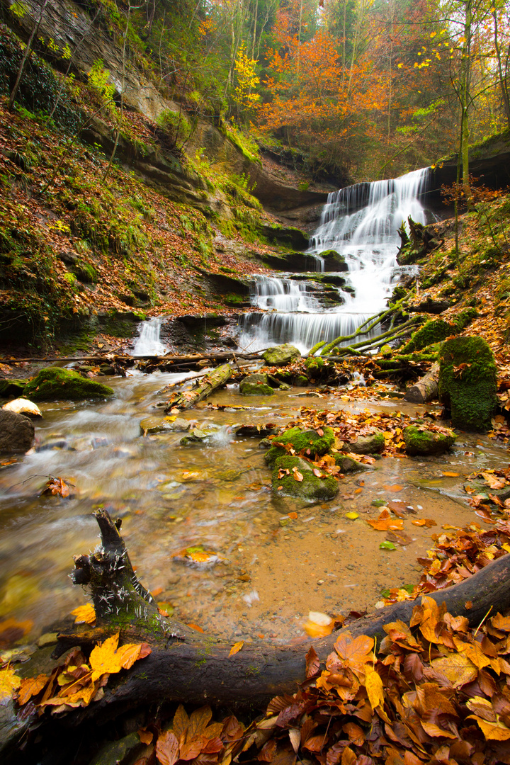 Herbstgewalten