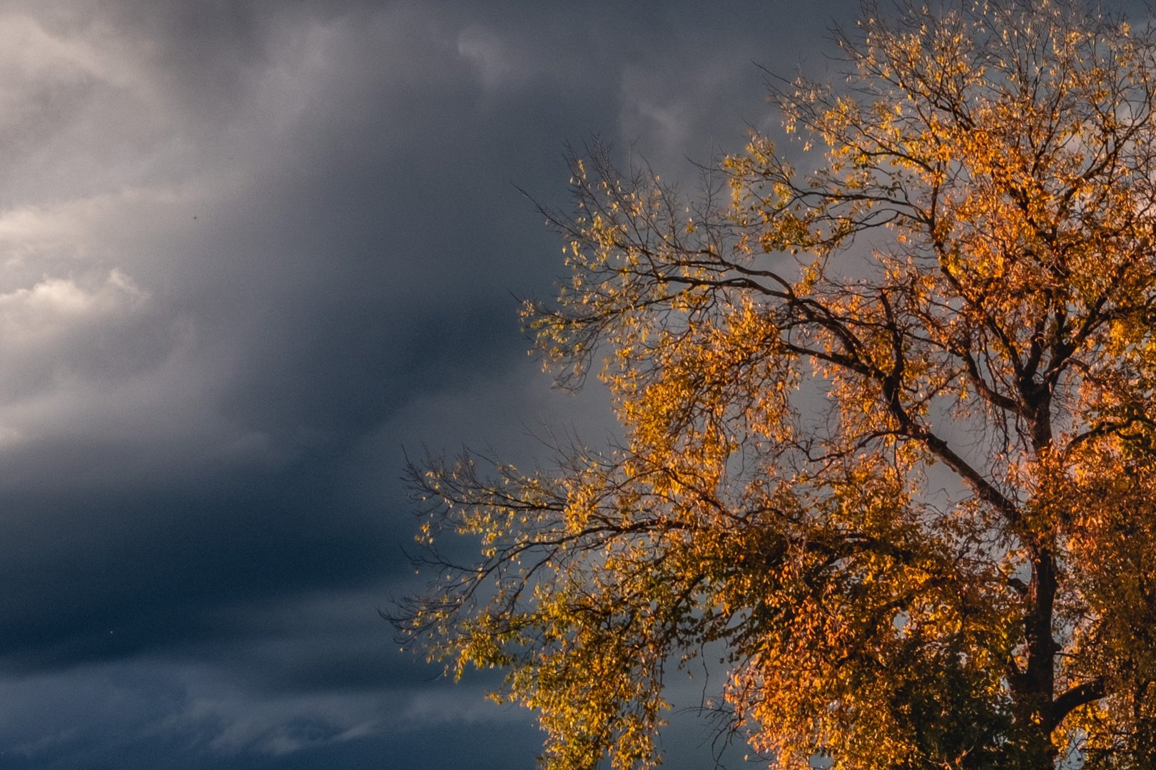 Herbstgewitter