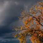 Herbstgewitter