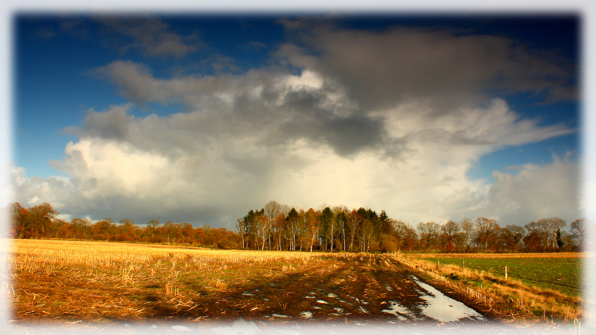 Herbstgewitter (3)