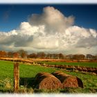 Herbstgewitter (4)