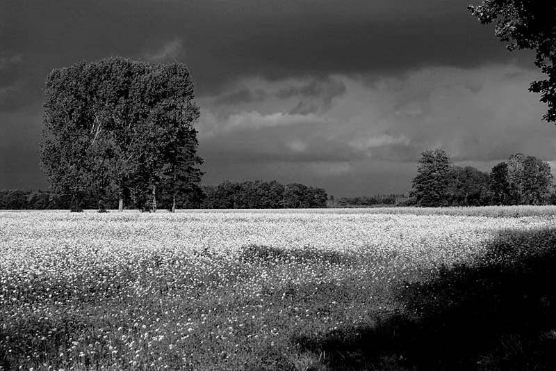 Herbstgewitter