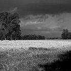 Herbstgewitter