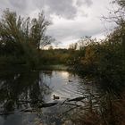 Herbstgewölk überm Teich