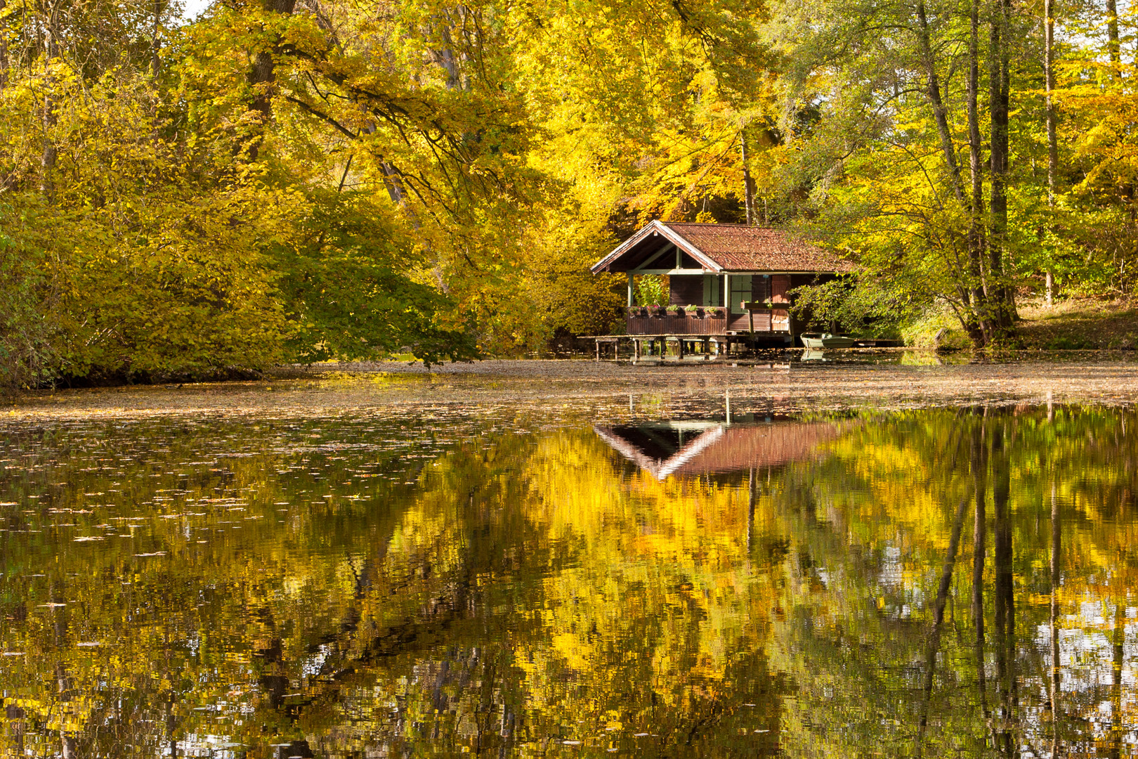 Herbstglanz