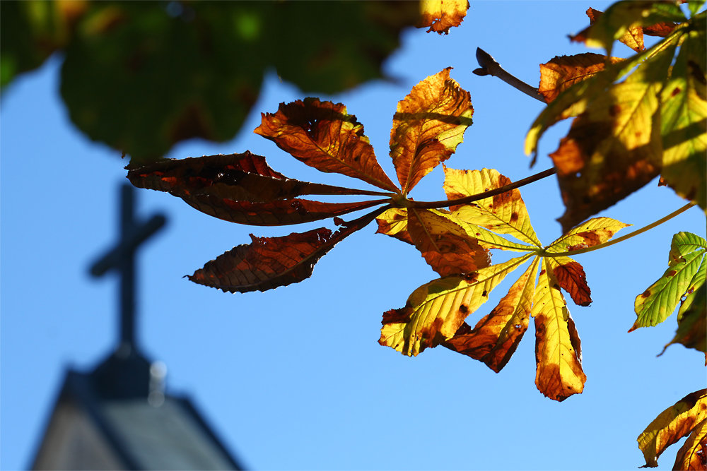 Herbst.Glaube