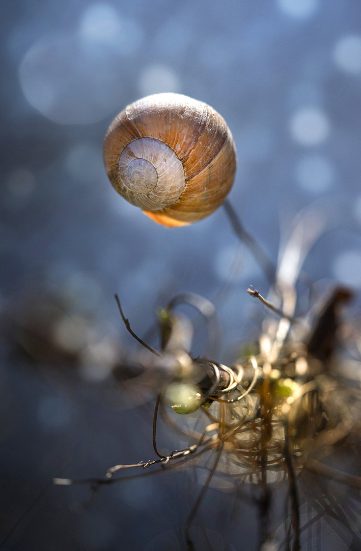 Herbstglitzern ...