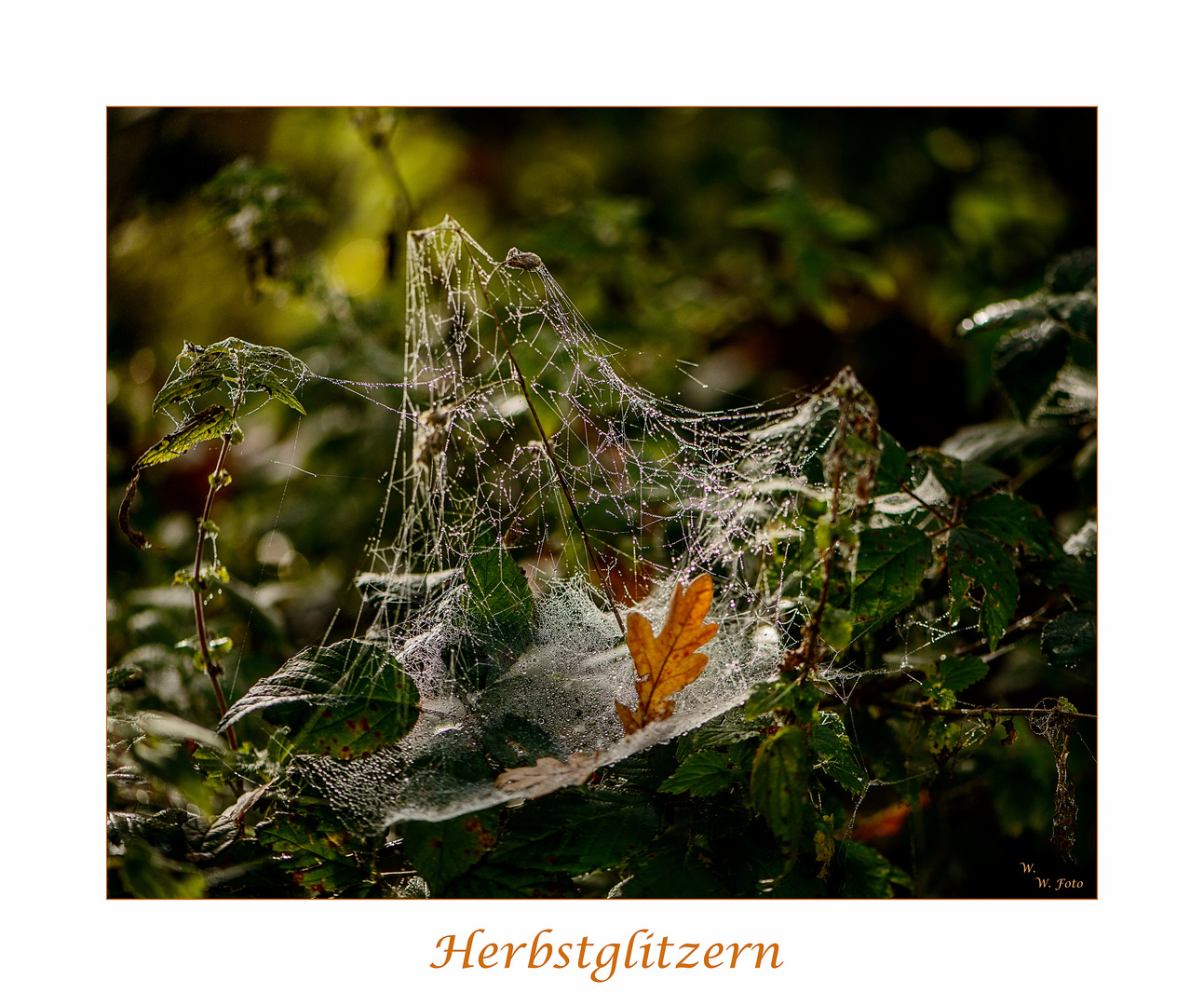 Herbstglitzern