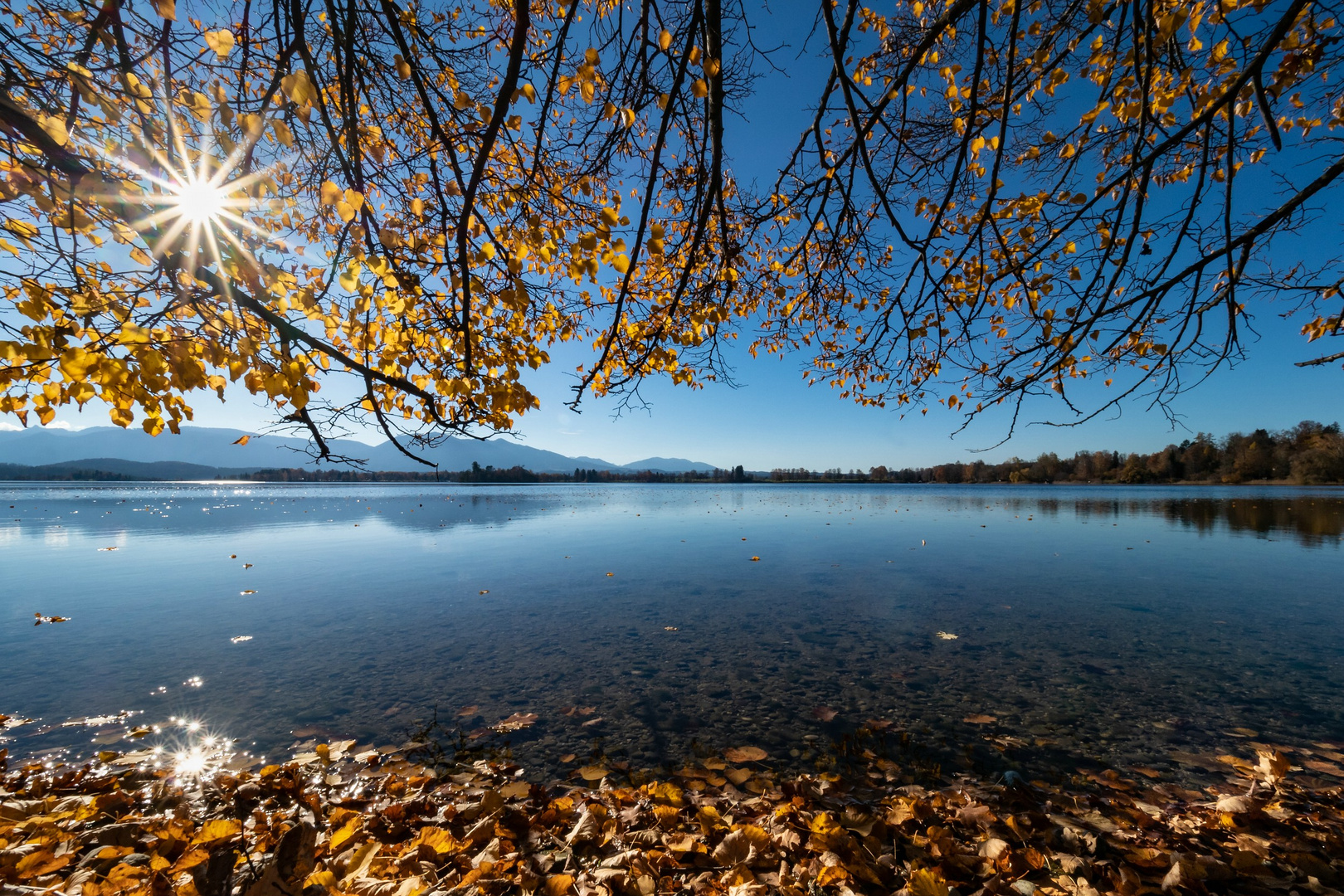 Herbstglitzern