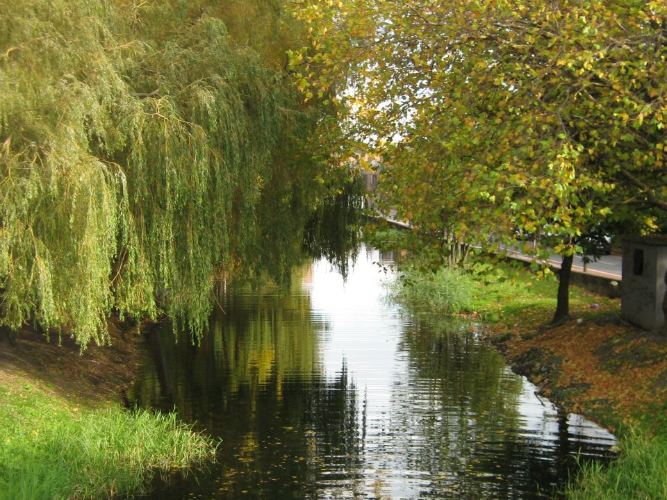 herbstglück