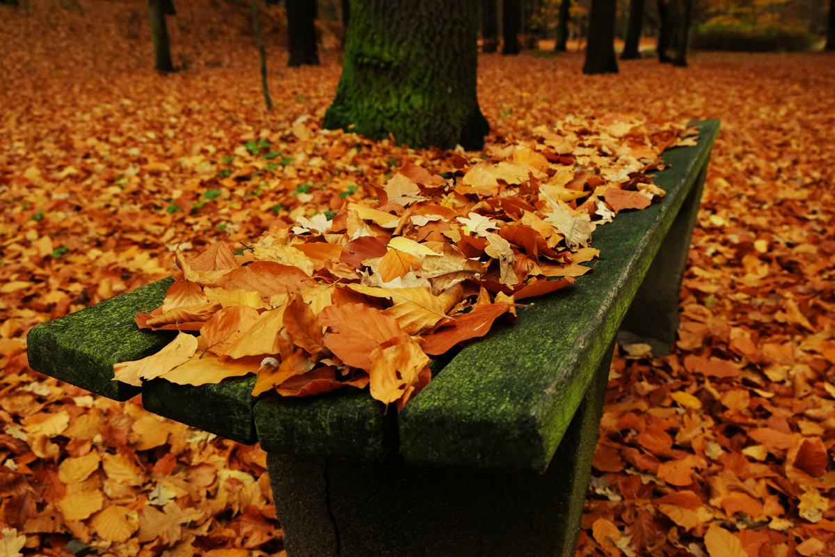 Herbstglück