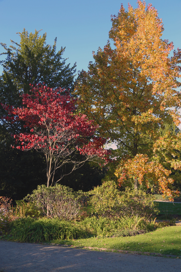 Herbstglück