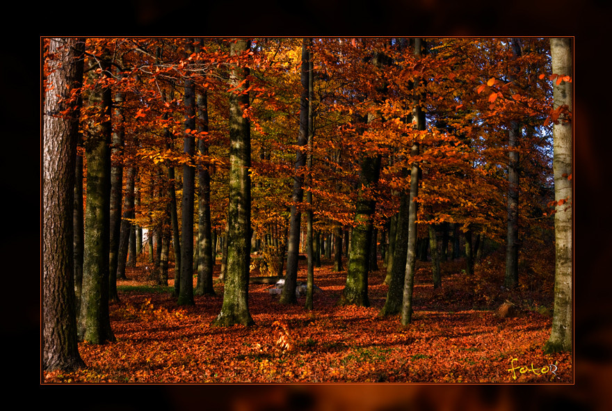 Herbstglühen