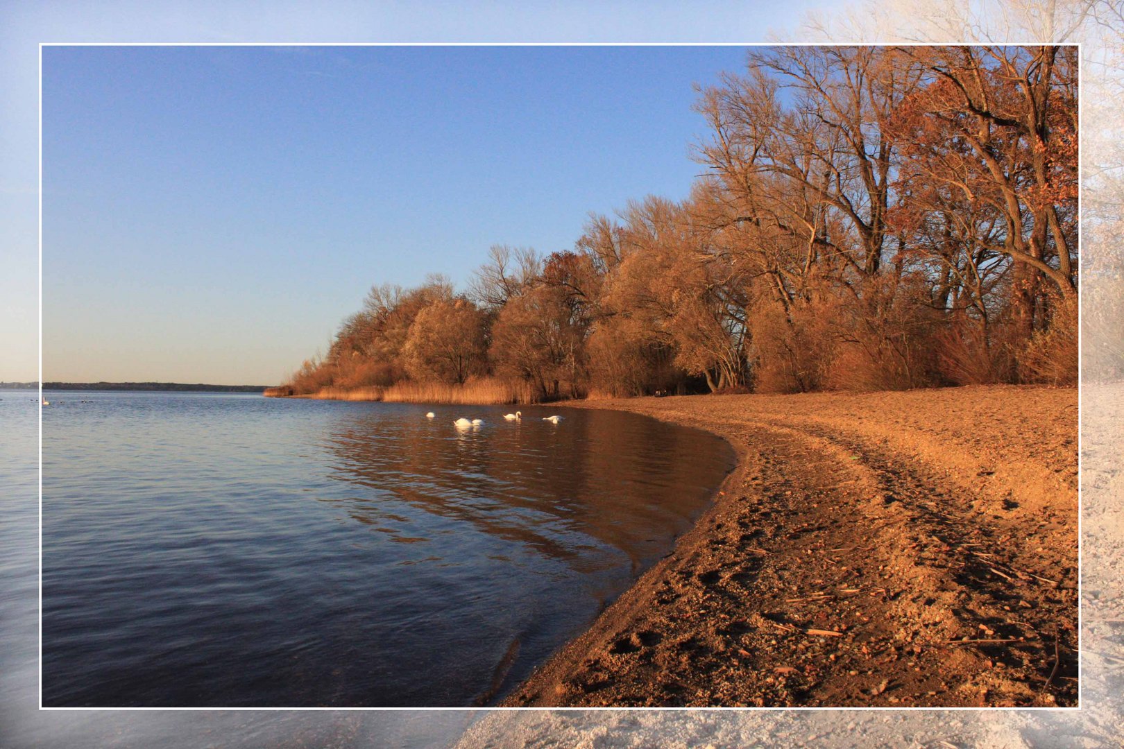 Herbstglühen am Chiemsee