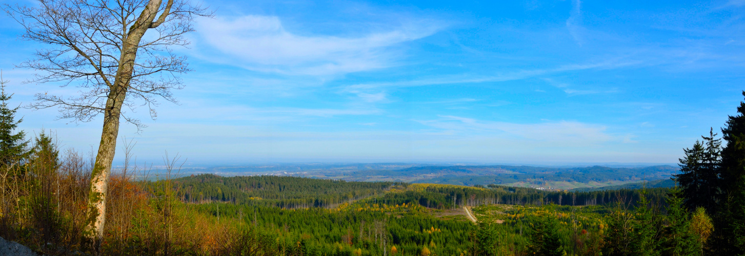 Herbstglühen am Nebelstein