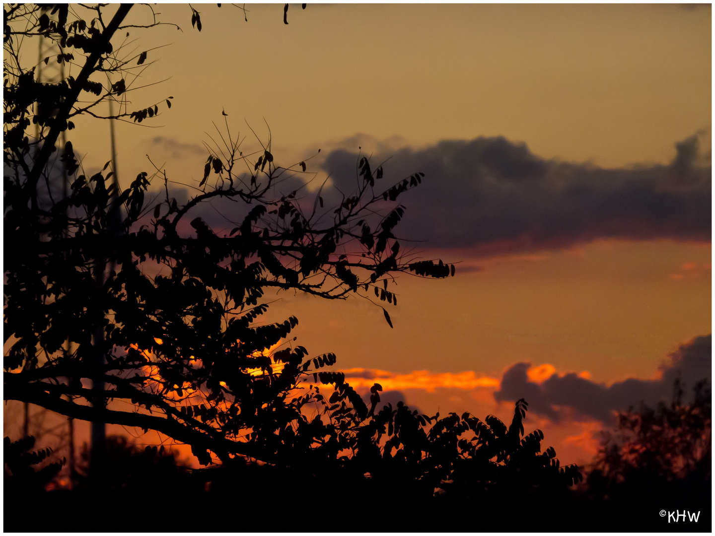 Herbstglühen am Niederhein