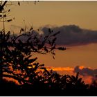 Herbstglühen am Niederhein