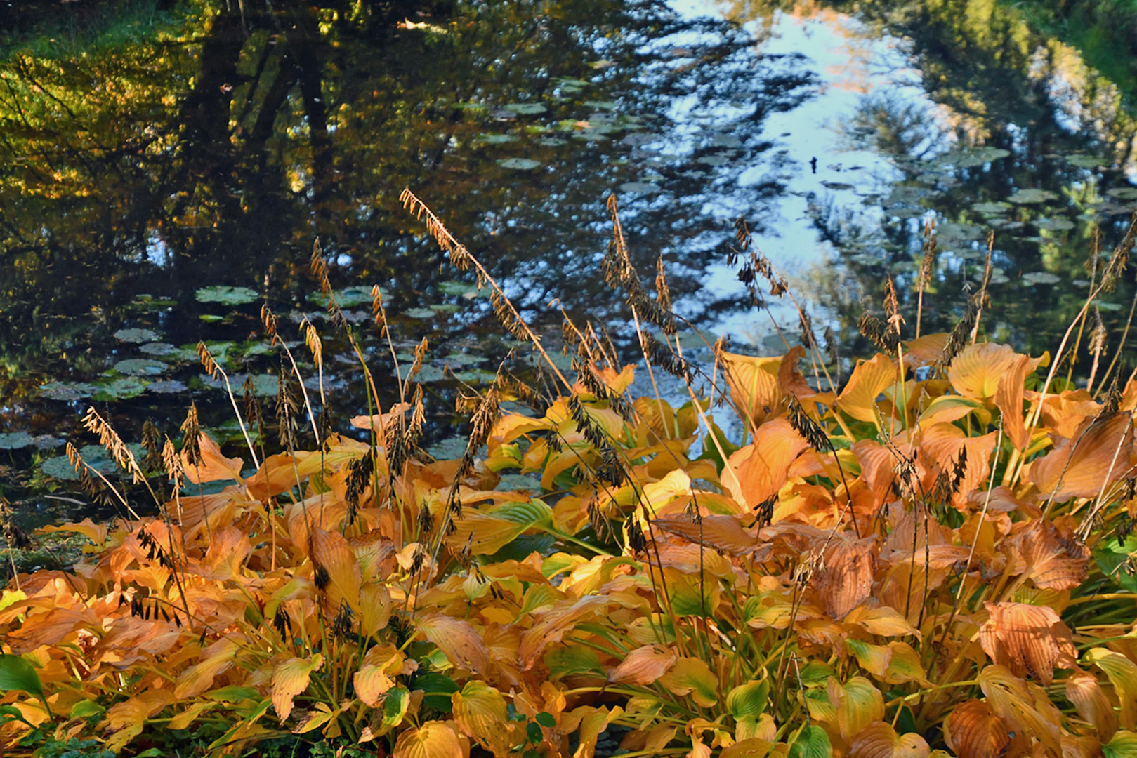 Herbstglühen 