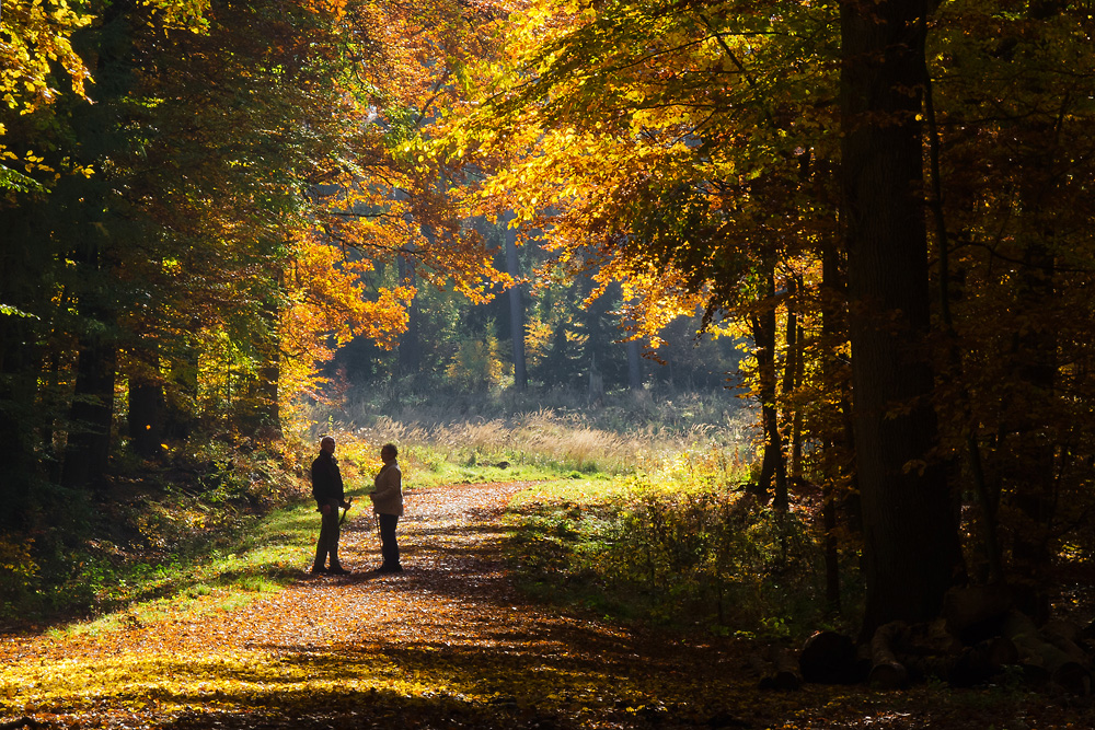 Herbstglühen