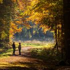 Herbstglühen