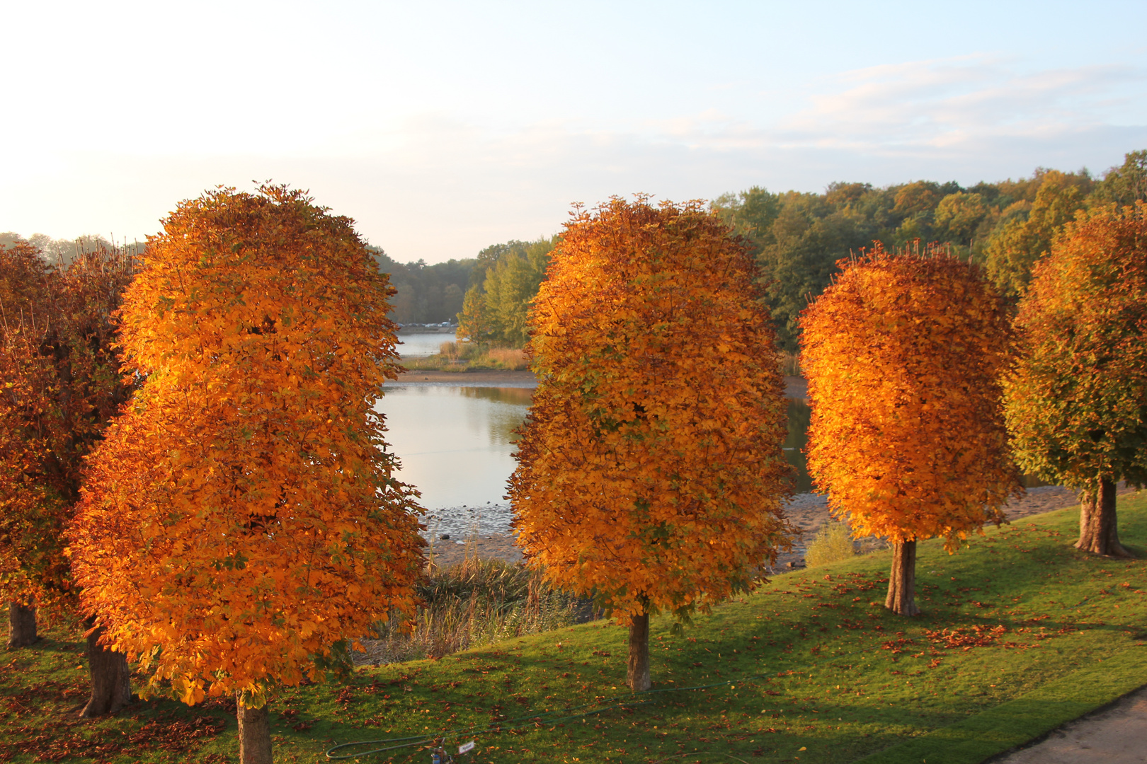 Herbstglühen