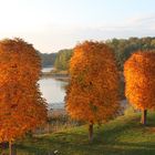 Herbstglühen