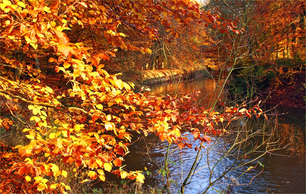 Herbstglut