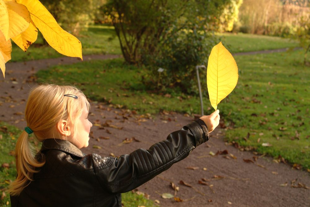 Herbstgold