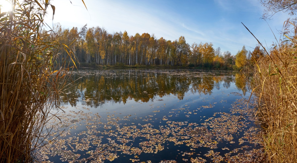 Herbstgold