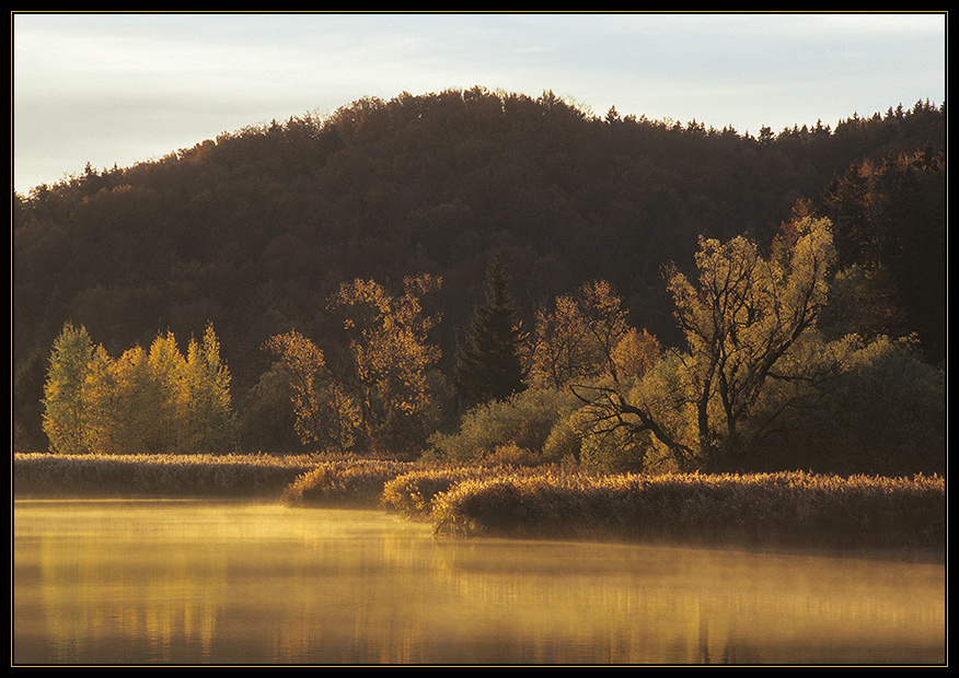 Herbstgold