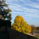 herbst"gold"