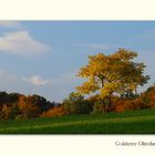 Herbstgold