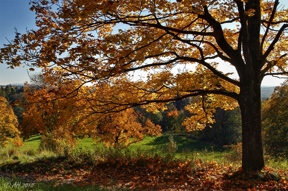 Herbstgold