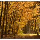 Herbstgold