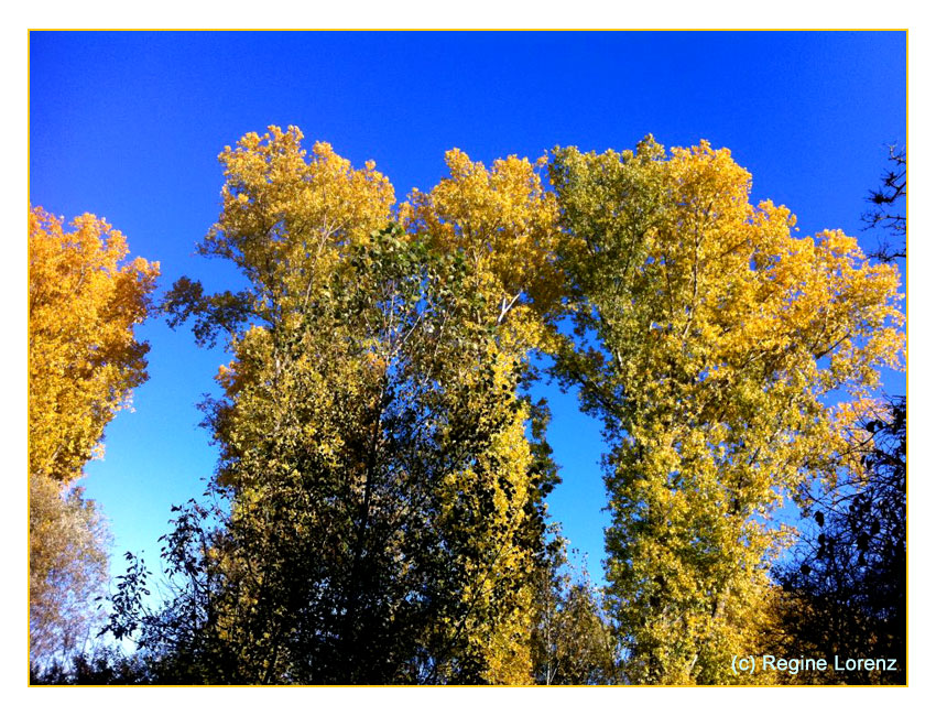 Herbstgold