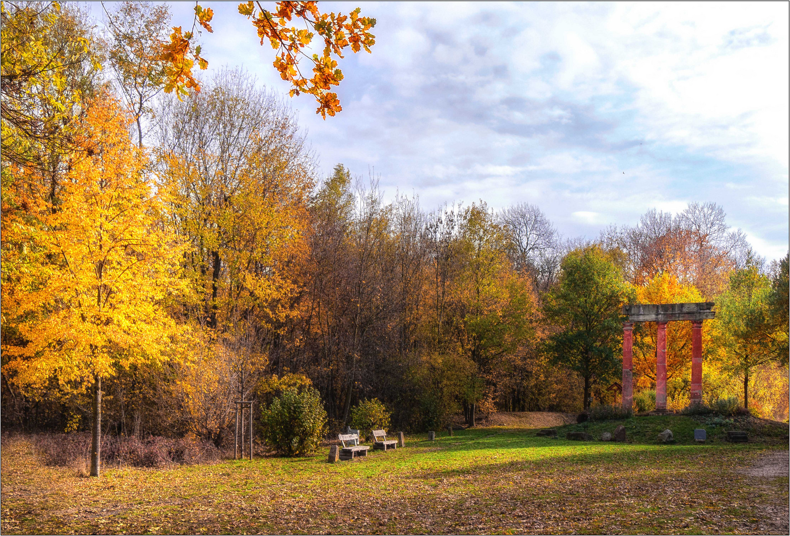 Herbstgold ...