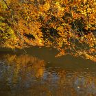 Herbstgold