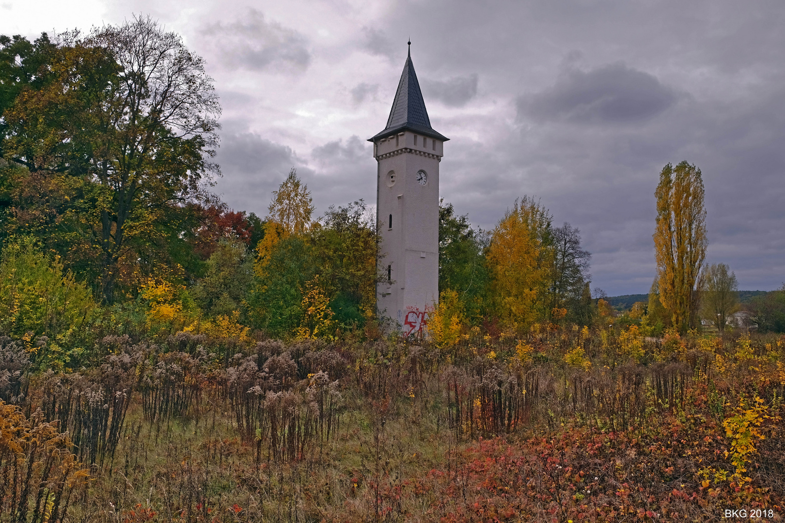 HERBSTGOLD am Vogelschutzturm 