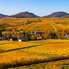 Herbstgold auf der Kleinen Kalmit