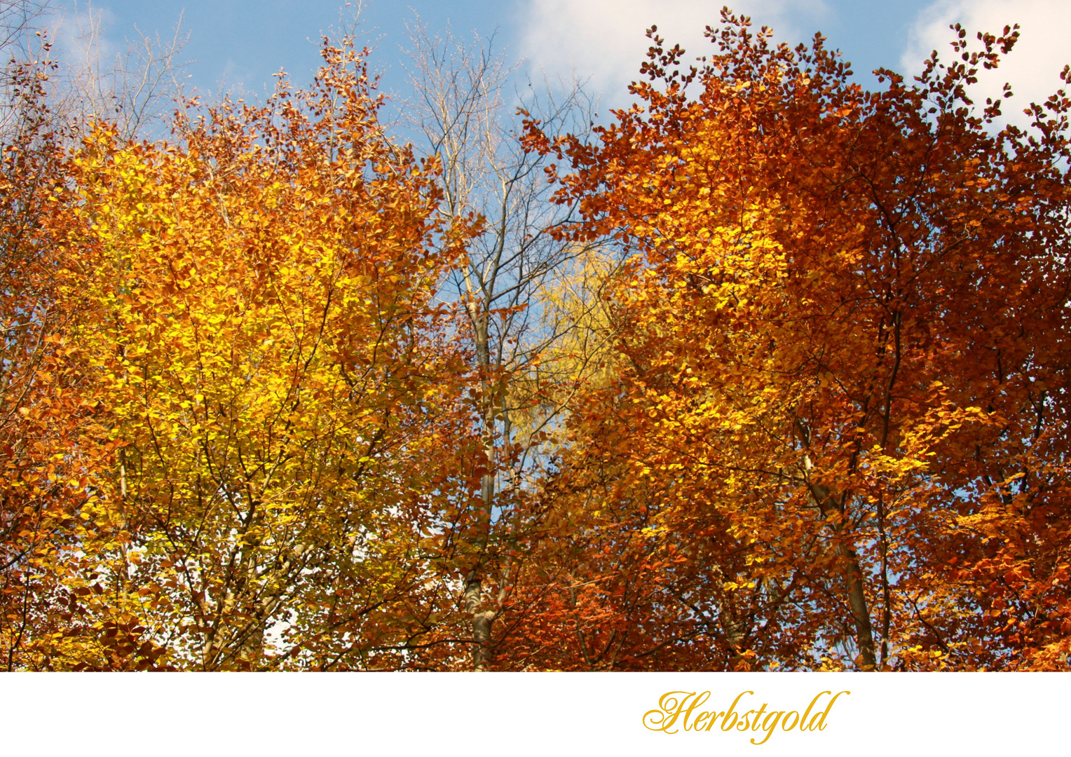 Herbstgold