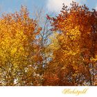 Herbstgold