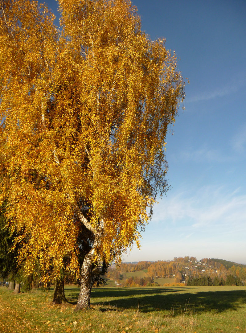 Herbstgold