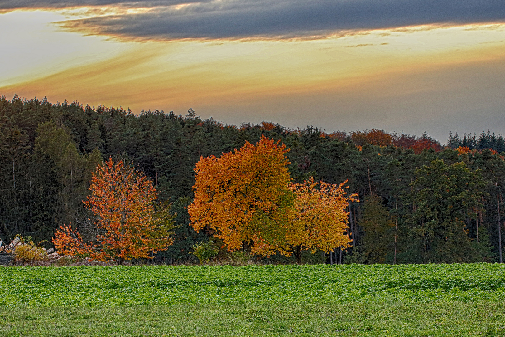 Herbstgold