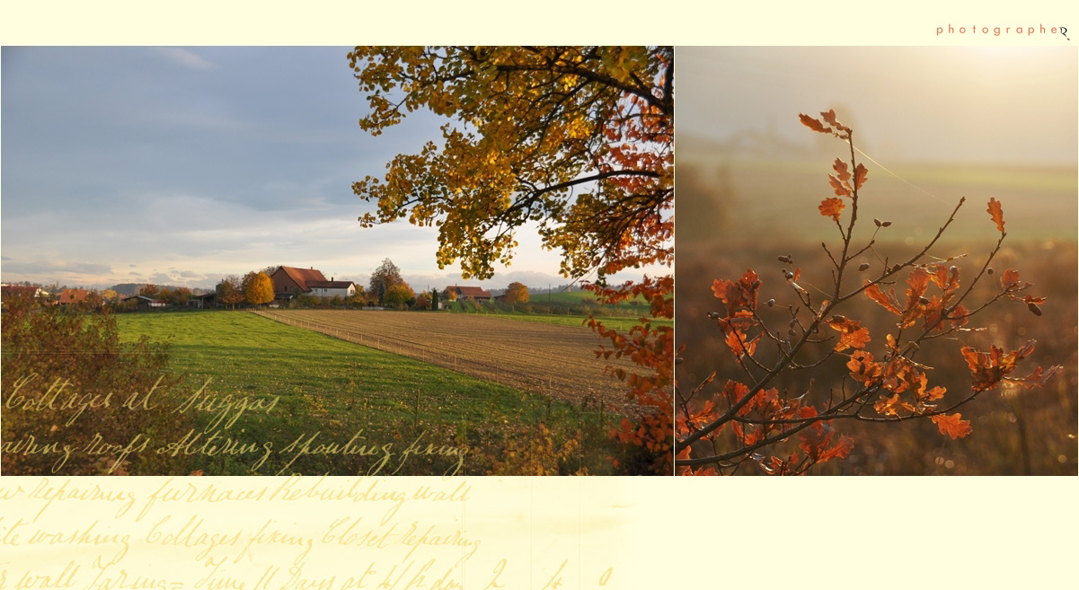 Herbstgold II