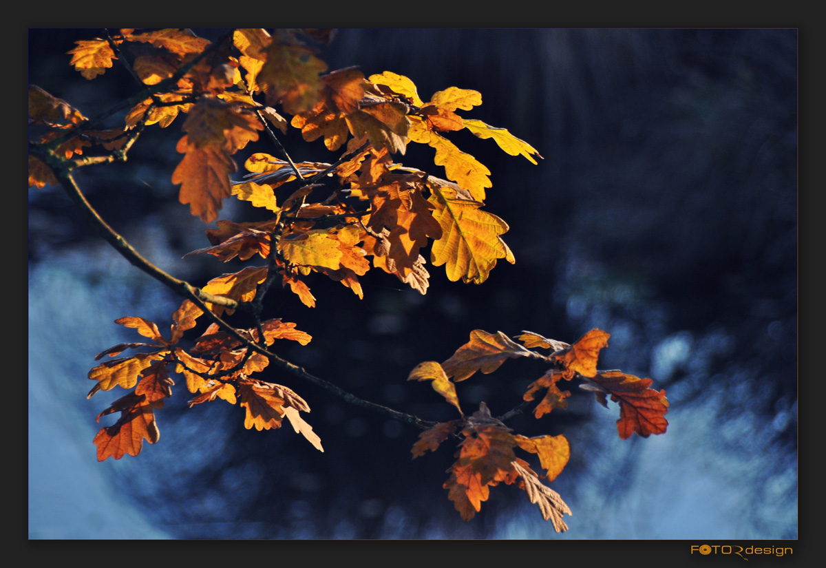 Herbstgold III