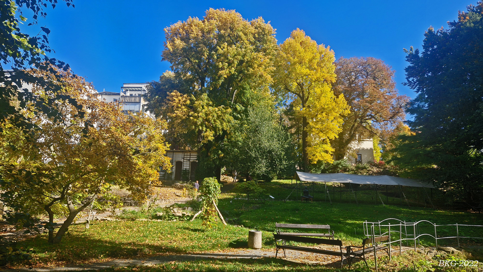 HERBSTGOLD im  Botanischer Garten Gera 