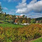 Herbstgold im Hofwiesenpark Gera 