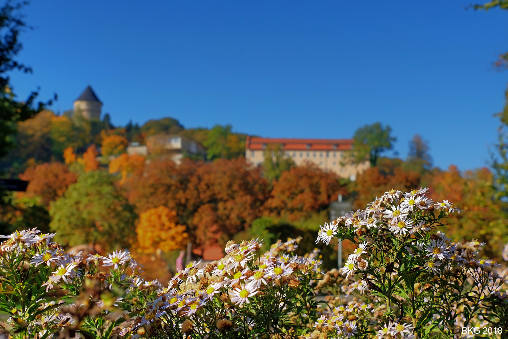 Herbstgold im Indian Summer Hofwiesenpark Gera 